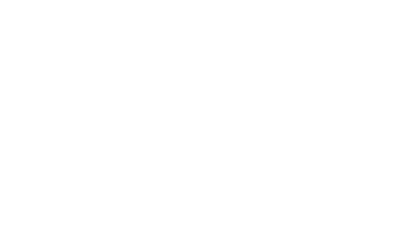 Monin Logo
