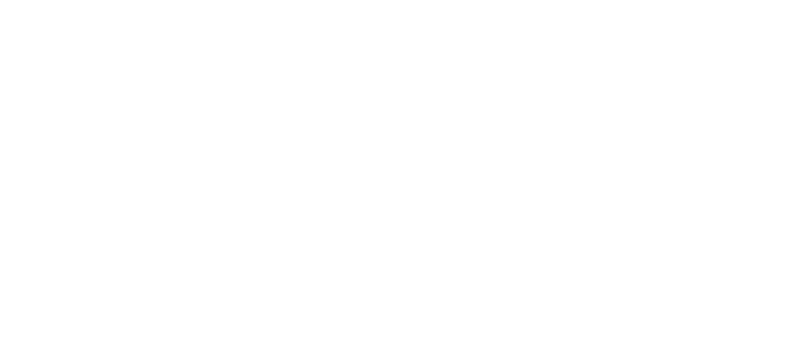 Peroni Logo